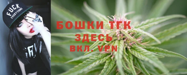 дмт Нязепетровск
