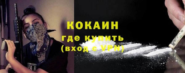 ешки Няндома