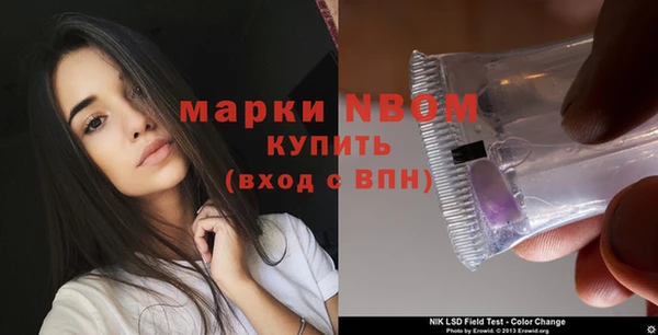 индика Бабаево