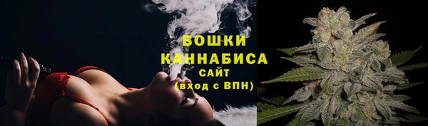 ECSTASY Вяземский