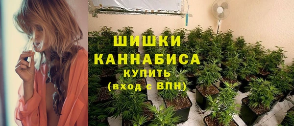 круглые Вязьма