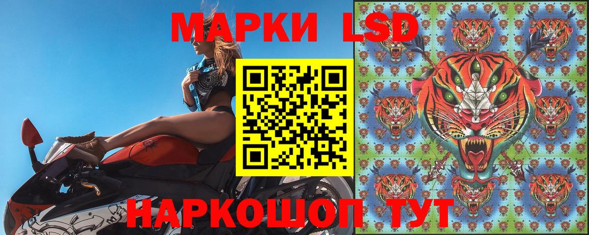 Марки 25I-NBOMe 1,5мг Сатка