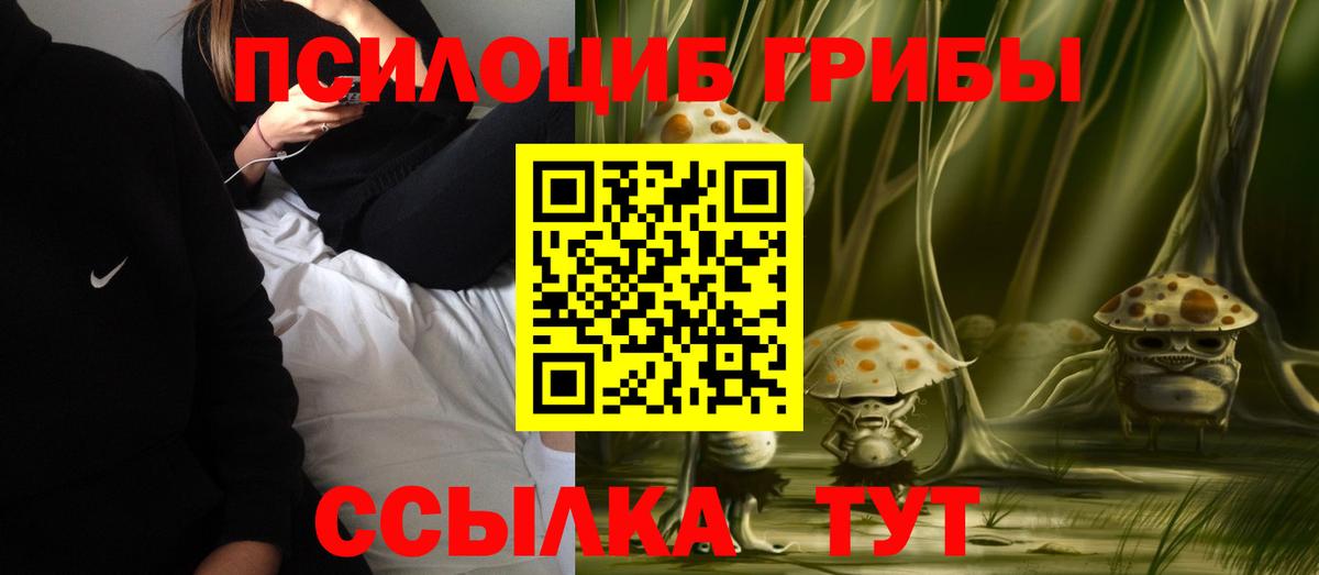 Галлюциногенные грибы GOLDEN TEACHER Сатка